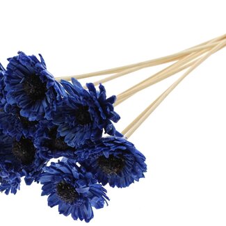 QC Shola Daisy Sunflower with wax on stick | Colour: Blue | Shola Daisy Sunflower | Diameter 6 centimetre | Length ± 50 centimetre | 10 picks per bunch | Per bunch