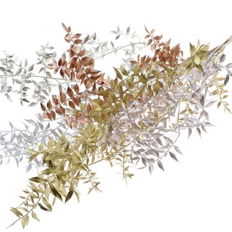 QC Dried Ruscus “Metallic Mix” | Colour: Mixed Colours | Ruscus Dried Flowers | Length ± 70 centimetres | 10 stems per bunch | Per bunch