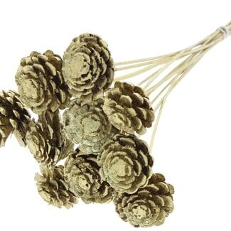 QC Half Pine Cone on Stick | Colour: Gold | Diameter 5 - 7 centimetres | Length ± 50 centimetres | 10 picks per bunch