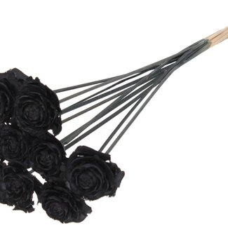 QC Cedar Rose on stick | Colour: Black | Pinecone pick | Length ± 50 centimeter | 10 picks per bunch