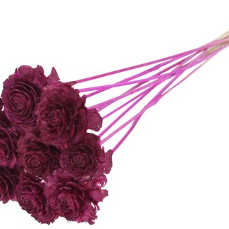 QC Cedar Rose on stem | Colour: Lilac-coloured | Pinecone pick | Length ± 50 centimetre | 10 picks per bunch
