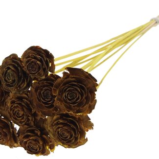 QC Cedar Rose on stem | Colour: Yellow | Pinecone Pick | Length ± 50 centimeter | 10 picks per bunch