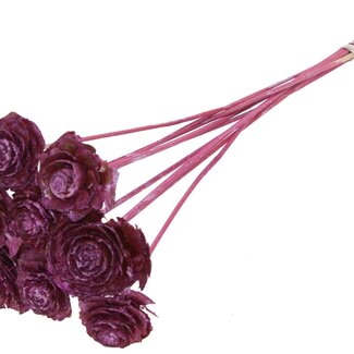 QC Cedar Rose on stick | Colour: Metallic Pink | Pinecone pick | Length ± 50 centimetre | 10 picks per bunch