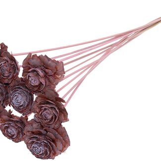 QC Cedar Rose am Stiel | Farbe: Gefrostetes Hellrosa | Kiefernzapfen-Stecker | Länge ± 50 centimeter | 10 Stecker pro Bund