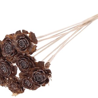 QC Cedar Rose on stem | Colour: Frosted Natural White | Pinecone pick | Length ± 50 centimetre | 10 picks per bunch
