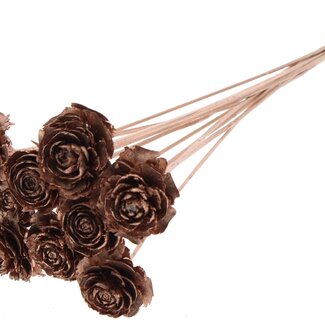 QC Cedar Rose on stem | Colour: Copper-coloured | Pinecone pick | Length ± 50 centimetre | 10 picks per bunch
