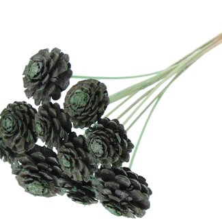 QC Half Pine Cone on Stick | Colour: Frosted Mint Green | Diameter 5 - 7 centimetres | Length ± 50 centimetres | 10 picks per bunch
