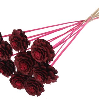 QC Half Pine Cone on Stick | Colour: Cherry | Diameter 5 - 7 centimetres | Length ± 50 centimetres | 10 picks per bunch