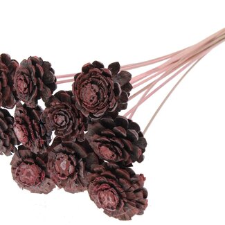 QC Half Pine Cone on Stick | Colour: Frosted Light Pink | Diameter 5 - 7 centimetres | Length ± 50 centimetres | 10 picks per bunch
