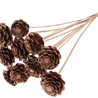 QC Half Pine Cone on Stick | Colour: Copper | Diameter 5 - 7 centimetres | Length ± 50 centimetres | 10 picks per bunch