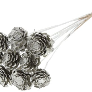 QC Half Pine Cone on Stick | Colour: Platinum | Diameter 5 - 7 centimetres | Length ± 50 centimetres | 10 picks per bunch