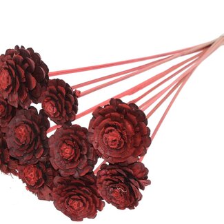 QC Half Pine Cone on Stick | Colour: Coral | Diameter 5 - 7 centimetres | Length ± 50 centimetres | 10 picks per bunch