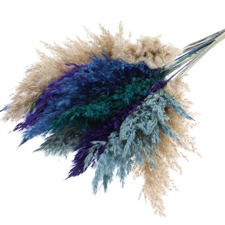 QC Getrocknete Pampaswedel „Scandinavian Mix“ | Farbe: Gemischte Farben | Pampas Trockenblumen | Länge ± 70 Zentimeter | 10 Wedel pro Bund | Pro Bund