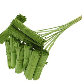 QC Kore Bouquet on Stick | Colour: Light Green | Kore Stick-in Decoration | Stick-in Length ± 50 centimetres | 10 stick-ins per bunch