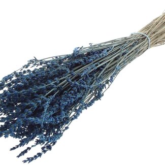 QC Dried Lavender | Colour: Super Blue | Lavender Dried Flowers | Length ± 50 centimetres | Weight 100 grams | Per bunch