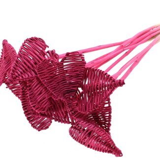 QC Rattan Lata Heart on stick | Colour: Cherry-coloured | Lata Heart flat Plant Stake | Diameter 8 centimetres | Length ± 50 centimetres | 10 plant stakes per bunch