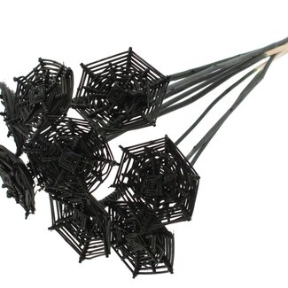 QC Rattan Lata Spiderweb on stick | Colour: Black | Lata Spiderweb flat Plant Stake | Length ± 50 centimetres | 10 stakes per bunch
