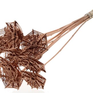 QC Rattan Lata Spiderweb on stick | Colour: Copper-coloured | Lata Spiderweb flat Plant Stake | Length ± 50 centimetres | 10 plant stakes per bunch