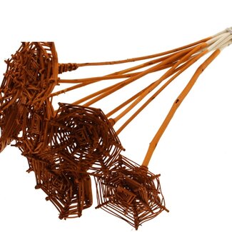 QC Rattan Lata Spiderweb on stick | Colour: Terracotta | Lata Spiderweb flat Plant Stake | Length ± 50 centimetres | 10 plant stakes per bunch