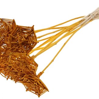 QC Rattan Lata Spiderweb on stick | Colour: Apricot | Lata Spiderweb flat Plant Stake | Length ± 50 centimetres | 10 plant stakes per bunch
