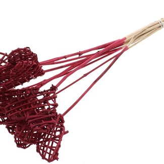 QC Rattan Lata Heart on stick | Colour: Bordeaux red | Lata Heart flat plant stick | Length ± 50 centimetres | 10 plant sticks per bunch