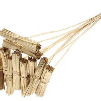 QC Kore Bouquet on Stick | Colour: Metallic Antique Gold | Kore Insert Stick | Insert Stick Length ± 50 centimetres | 10 insert sticks per bunch