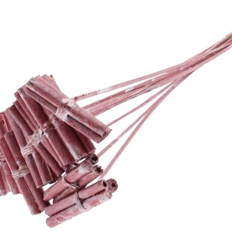QC Dekorative Jute-Stäbchen-Sträußchen auf Stab | Farbe: Metallic Rot | Jute Stick Posy Einstecker | Länge ± 50 Zentimeter | 10 Einstecker pro Bund