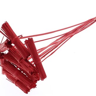 QC Kore Bouquet on stick | Colour: Red | Kore Insert Stick | Insert stick length ± 50 centimetres | 10 insert sticks per bunch