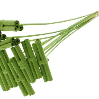QC Decorative Jute Stick Posy on a Stick | Colour: Light Green | Jute Stick Posy Insert | Length ± 50 centimetres | 10 inserts per bunch