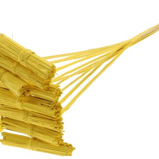 QC Kore Bouquet on Stick | Colour: Yellow | Kore Stick Insert | Stick Insert Length ± 50 centimetres | 10 stick inserts per bunch