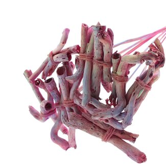 QC Gandiraj Branches on Stick | Colour: Pink Gradient | Gandiraj Insert Stick | Length ± 50 centimetres | 10 insert sticks per bunch