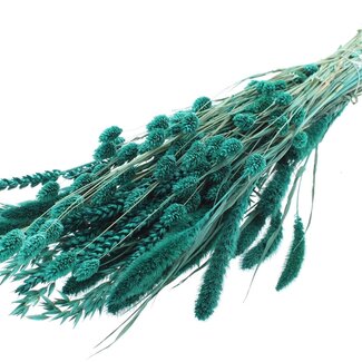 QC Dried Flower Mix Bouquet | Colour: Turquoise | Length ± 60 centimetres | Per bunch