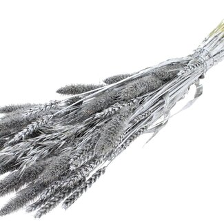 QC Dried Flower Mix Bouquet | Colour: Silver | Length ± 60 centimetres | Per bunch