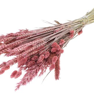 QC Strauß Getrocknete Blumenmischung | Farbe: Frosted Rosa | Länge ± 60 Zentimeter | Pro Bund