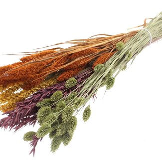 QC Dried Flower Bouquet Mix “Pumpkin Spice Mix” | Colour: Mixed Colours | Length ± 60 centimetres | Per bunch
