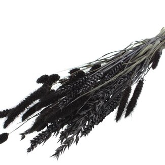 QC Strauß Getrocknete Blumenmischung | Farbe: Schwarz | Länge ± 60 Zentimeter | Pro Bund