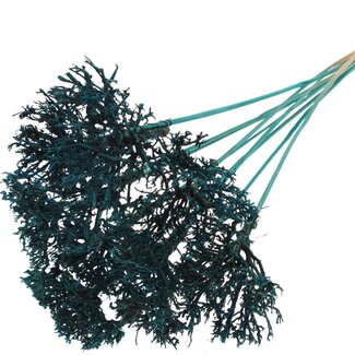 QC Dry Tree on stick | Colour: Turquoise | Dry Tree Stick | Stick length ± 50 centimetres | 10 sticks per bunch