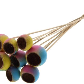 QC Getrocknete Bellgums „Ibiza“ | Farbe: Gemischte Farben | Bell Cup Stecker | Länge ± 50 Zentimeter | 10 Stecker pro Bund