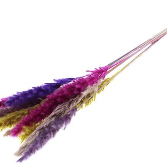 QC Getrocknete Fluffy Pampas Federn „Bunt 11“ | Farbe: Gemischte Farben | Länge ± 70 Zentimeter | 10 Federn pro Bund | Pro Bund