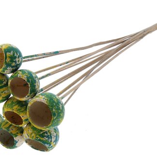 QC Dried Bellgums | Colour: Multicoloured Green Yellow | Bell Cup Stick-in | Length ± 50 centimetres | 10 stick-ins per bunch