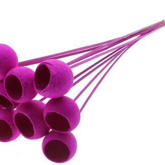 QC Bleached Dried Bellgums | Colour: Lilac | Bell Cup Stick-in | Length ± 50 centimetres | 10 stick-ins per bunch