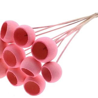 QC Bleached Dried Bellgums | Colour: Light Pink | Bell Cup Pick | Length ± 50 centimetres | 10 picks per bunch