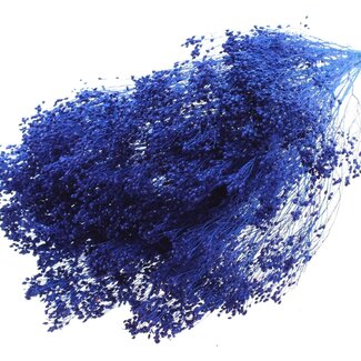 QC Bleached Dried Broom Bloom | Colour: Blue | Broom Dried Flowers | Length ± 50 centimetres | Weight 100 grams | Per bunch