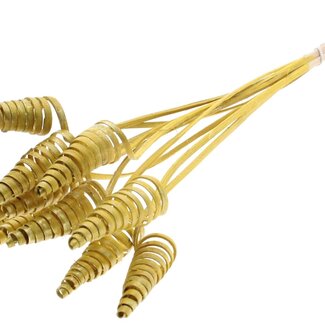 QC Palm Spiral on Stem | Colour: Metallic Yellow | Cane Cone Plant Stake | Stake Length ± 50 centimetres | Per 10 stakes