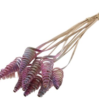 QC Palm Spiral on Stem | Colour: Gradient Pink | Cane Cone Plant Stake | Stake Length ± 50 centimetres | Per 10 stakes