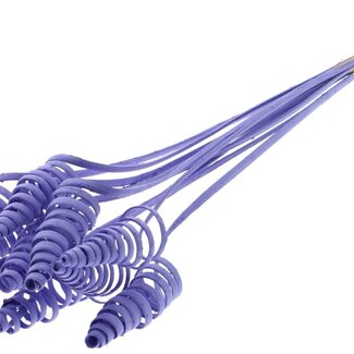 QC Palm Spiral on Stem | Colour: Milka Purple | Cane Cone Plant Stake | Stake Length ± 50 centimetres | Per 10 stakes