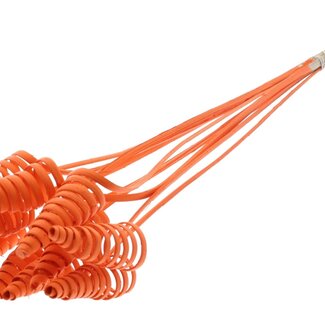 QC Palm Spiral on Stem | Colour: Orange | Cane Cone Plant Stake | Stake Length ± 50 centimetres | Per 10 stakes