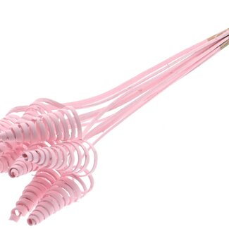 QC Palm Spiral on Stem | Colour: Light Pink | Cane Cone Plant Stake | Stake Length ± 50 centimetres | Per 10 stakes