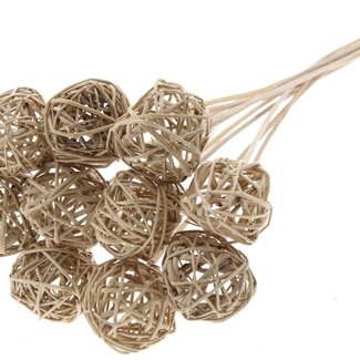 QC Rattan Ball on Stick | Colour: Natural Light Brown | Bruce Ball Stick | Diameter 5 centimetres | Length ± 50 centimetres | 10 sticks per bunch