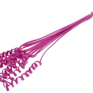 QC Palm Spiral on Stem | Colour: Cherry-coloured | Cane Cone Plant Stake | Stake Length ± 50 centimetres | Per 10 stakes